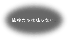 植物たちは喋らない