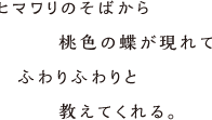 ヒマワリのそばから桃色の蝶が現れてふわりふわりと教えてくれる。