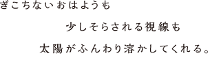 ぎこちないおはようも少しそらされる視線も太陽がふんわり溶かしてくれる。