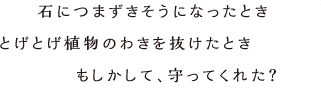 石につまずきそうになったときとげとげ植物のわきを抜けたときもしかして、守ってくれた？